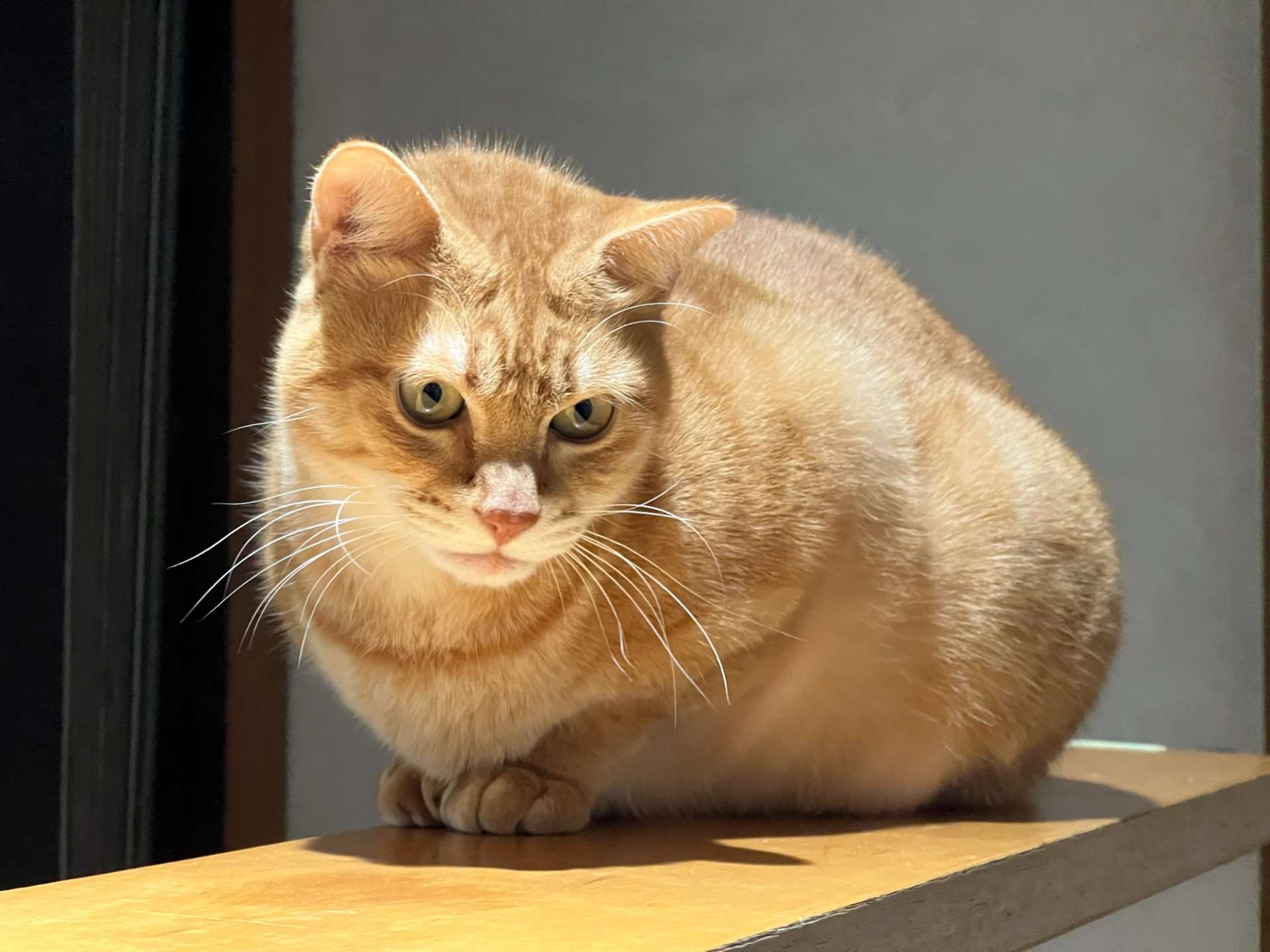 今季最大の寒波がやってくる!?寒さにもマケズ、牛尾立正園はお客様の元へ伺います。